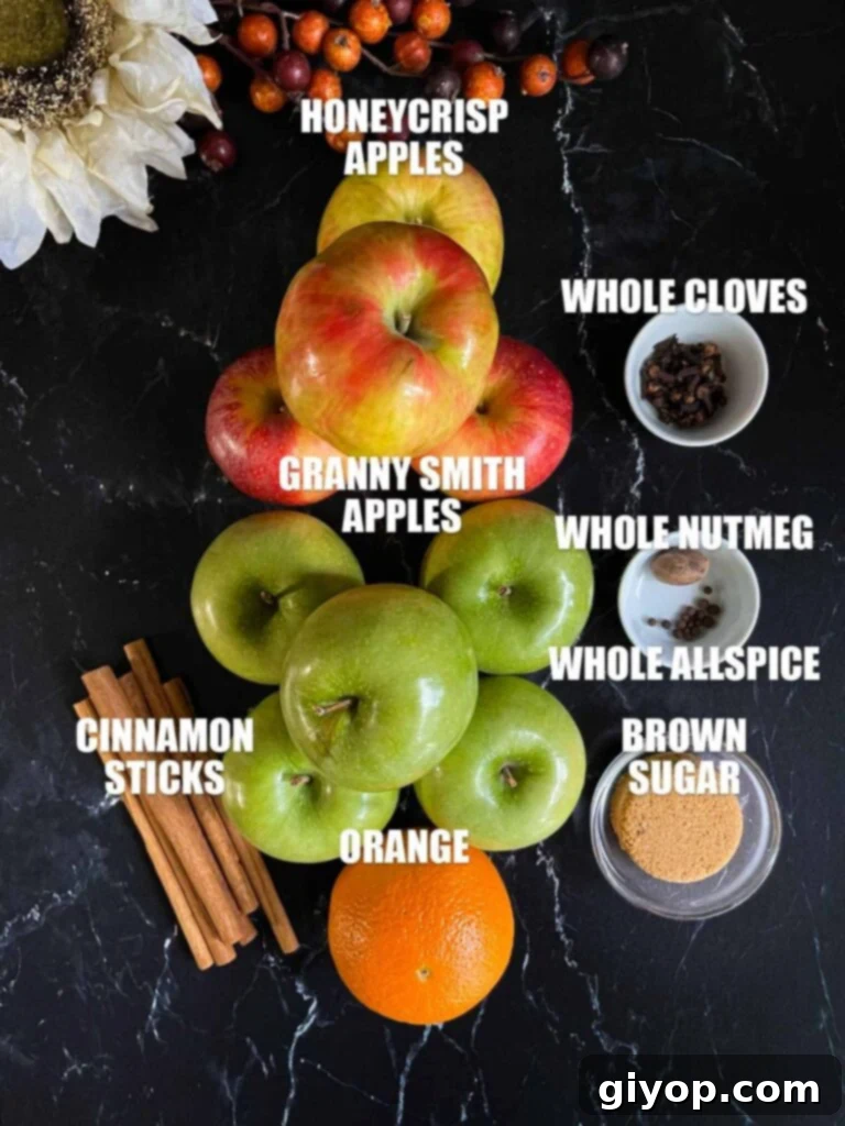 Ingredients for slow cooker apple cider on a dark surface.