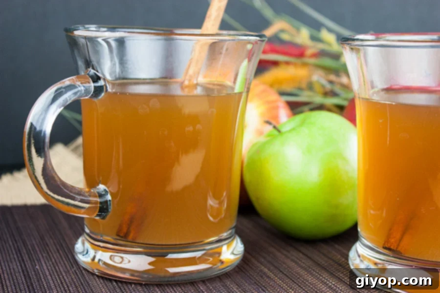 Slow Cooker Apple Cider in two glass mugs with cinnamon stick garnish.