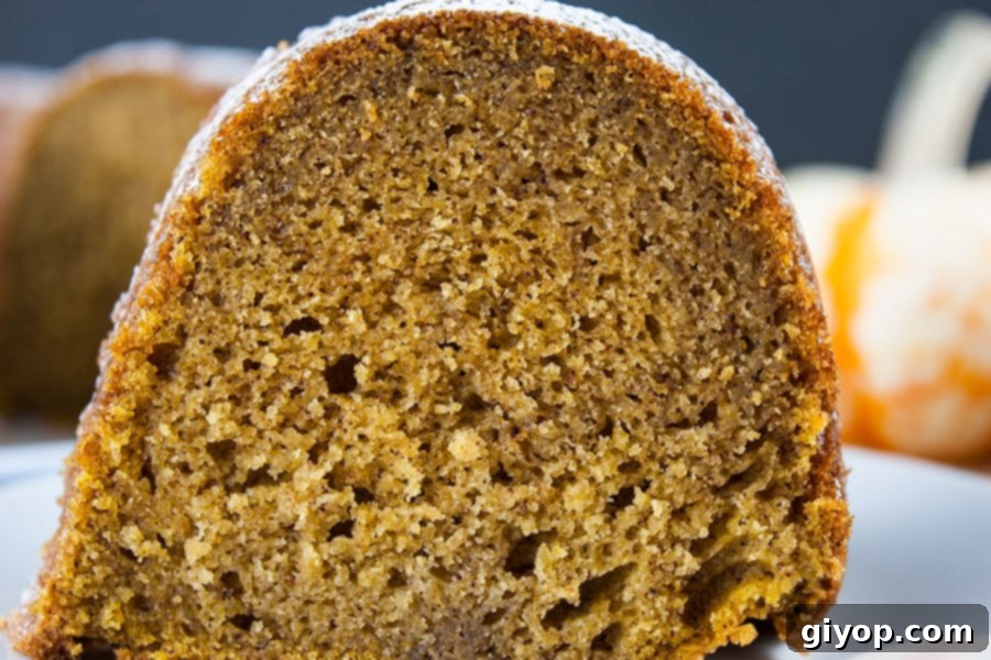 A close up of a slice of pumpkin spice bundt cake on a white plate, beautifully dusted with powdered sugar.